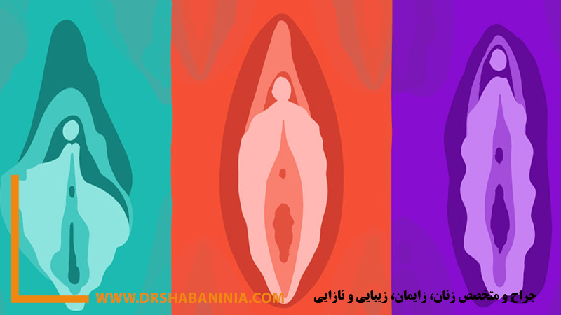 بهترین-پزشک-زنان-اصفهان