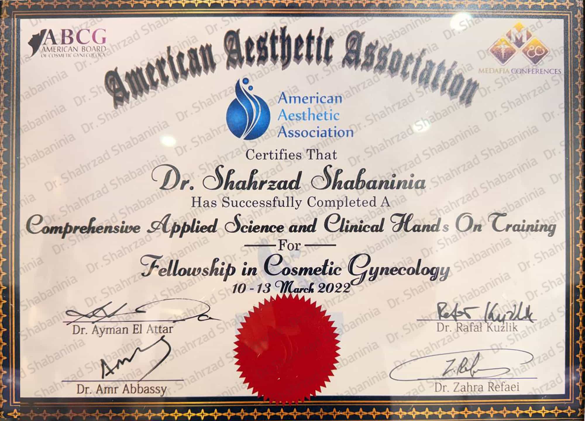 مدرک فلوشیپ زیبایی زنان 